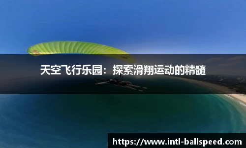 球速体育官网